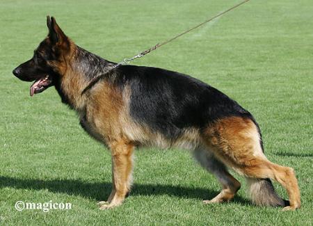 V-A 3 , AUSTRIA, Mike vom Schloss Runding