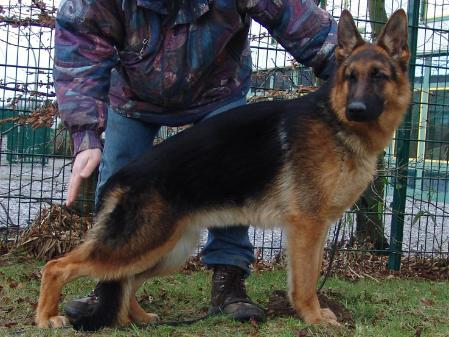 Urk vom Klausener Grund