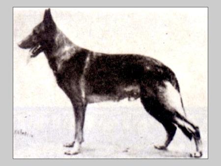 Arno von den deutschen Werken