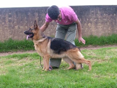 Chouchou vom Messebau