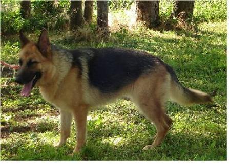 Olga Nabiri vom Richthofen