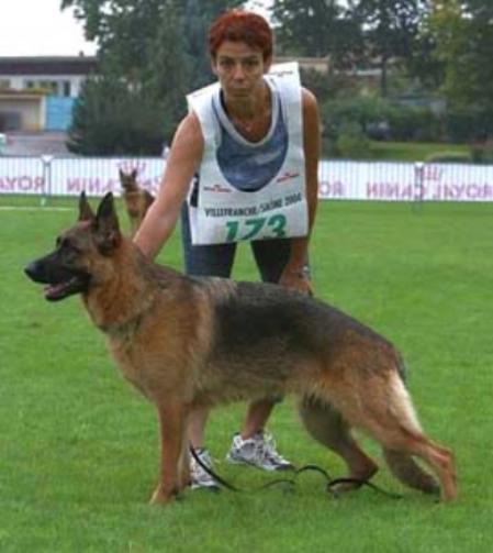 V Telma Des Perles De L'Etang