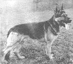 Boyar vom Hamstereck