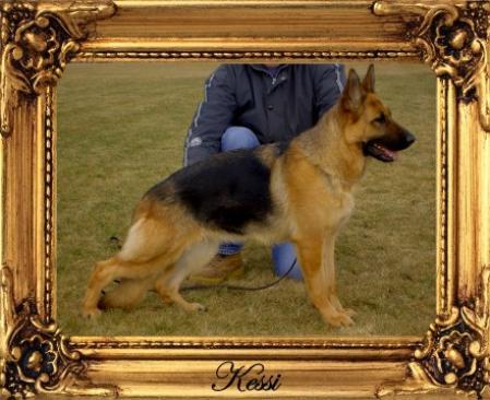 V Kessi von Herzbach