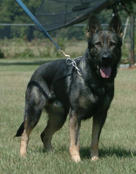 Bonna Kraická zahrada