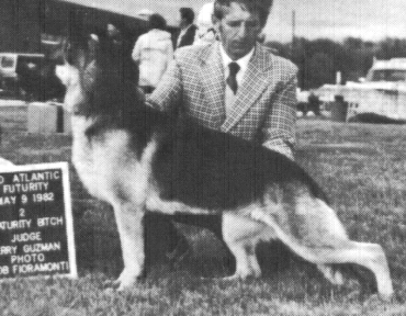 Bo-Hem's Did-It-Again