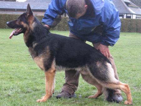 V Krisu vom Haus Bernhart-Mader