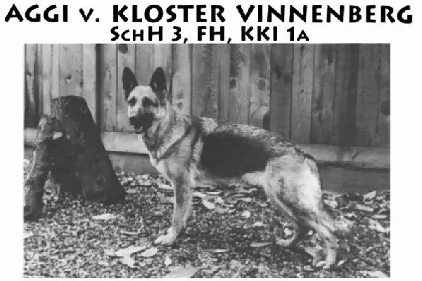 Aggi Vom Kloster Vinnenberg