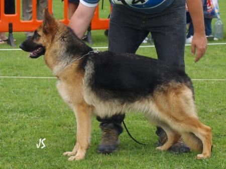 Raika del Campo de la Verdad