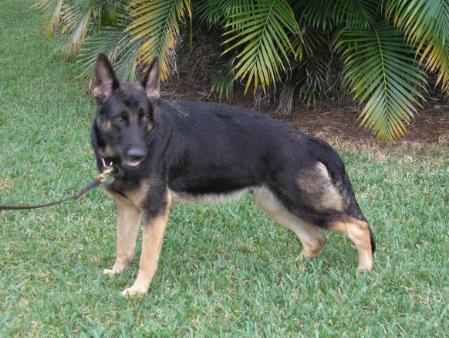 Chloe Lujza vom Kraftwerk