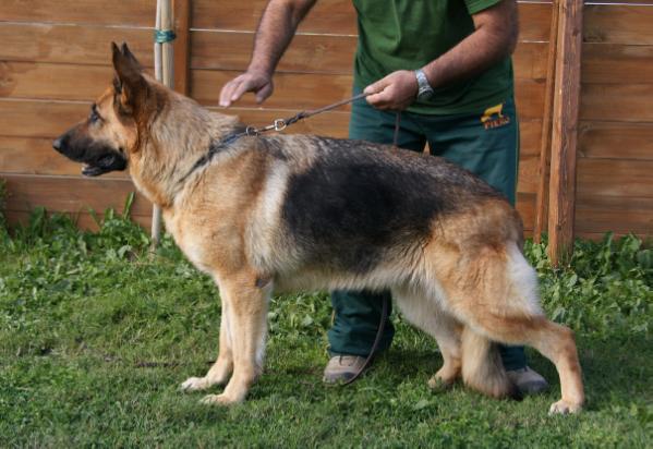 V Umke Vom Overledingerland