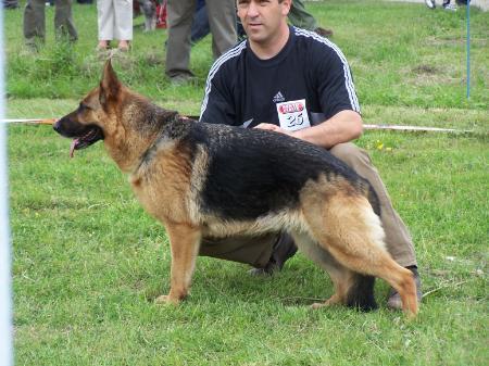 Királyházi Becses Crista
