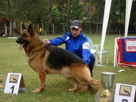 VA1 BRASIL 2007 Ux Von Kisman