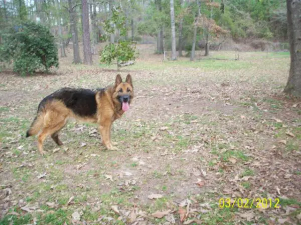 Tripl'H Abby Well-done