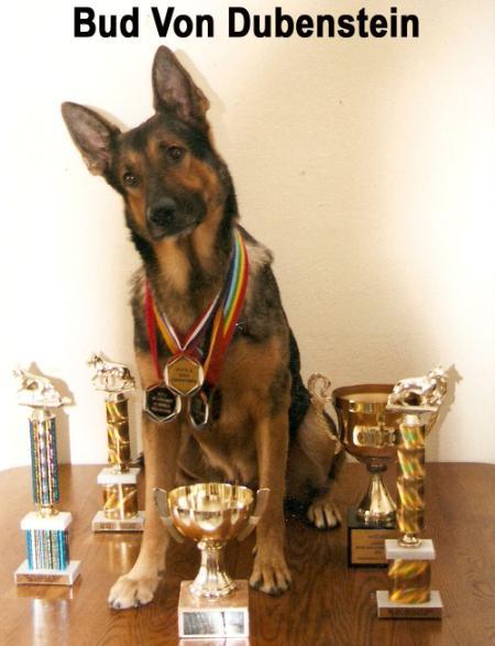 Bud Von Dubenstein