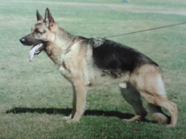 3 RES CC V (UK) Caresa Classic Crusader