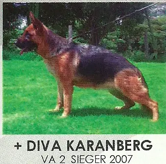 Diva Karanberg