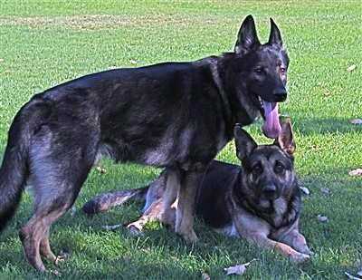 Della von Haus Simmons