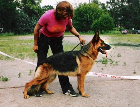 Aedesbark Layfa