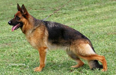 VA.3 (H) Hijam Qstionn