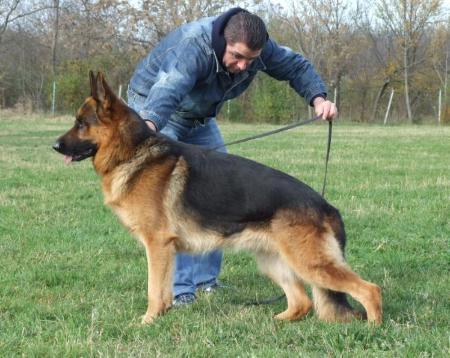 V1(IT), Fred Della Torre Dello Sperone