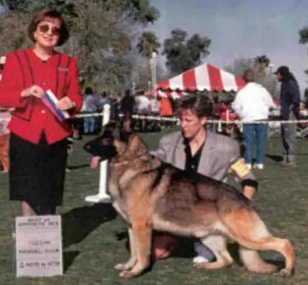 Jericho's Nieman-Marcus