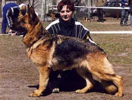 V Goldy z Dalevoy Zemly