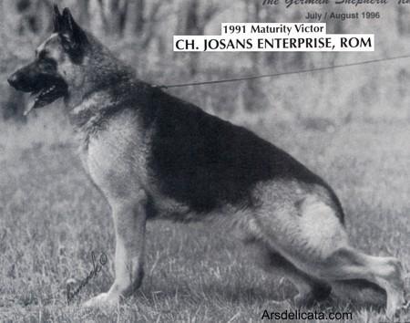 CH (AKC) Jo San's Enterprise