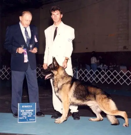 CH Pairadice's Huganut