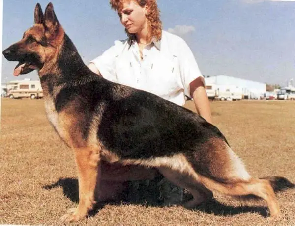 CH (CAN) Denrohaus Beverly