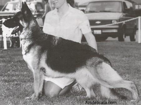 Ken-Delaine's Puma