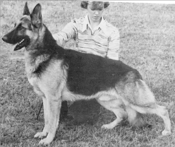 Von-Wag Non's Lincoln