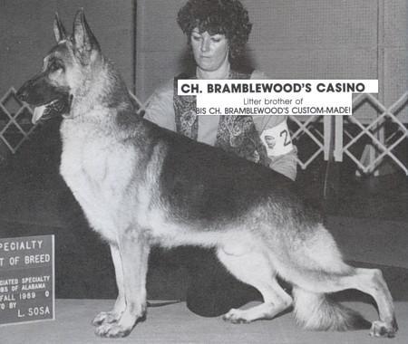 CH (US) Bramblewood's Casino