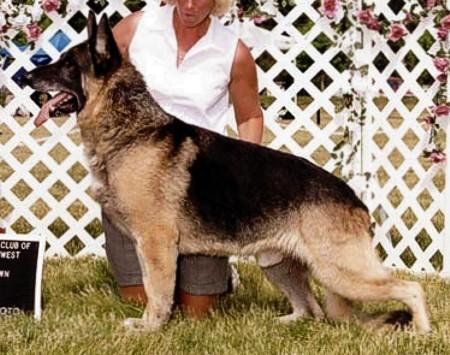 Norberge's Charge him to Me