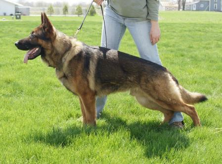 V Atze Von Den Sportwaffen