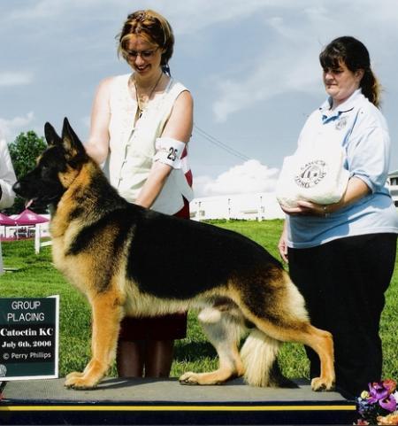 CAN/AM. BIS CH. Rowland's Cezanne of Imp-Cen