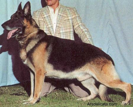 CH (US) Patrick-J of Lebensraum