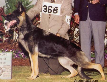 Welove Du Chien's Judith