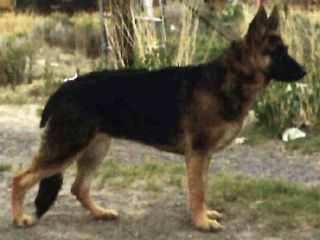 Beate vom Aspen Canyon