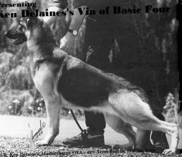 SEL CH (US) Ken-Delaine's Via of Basic Four