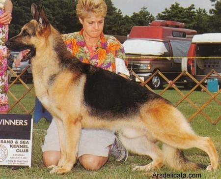 CH (US) Stonehaven's Jag v Cedarlane