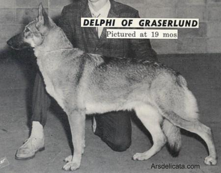 Delphi of Graserlund