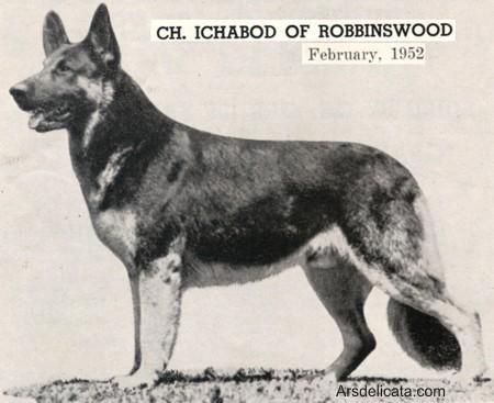 CH (US) Ichabod of Robbinswood