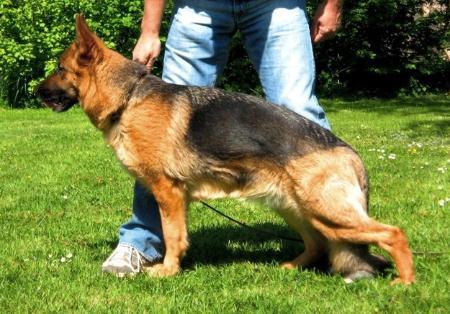 V Uskya vom Quartier Latin