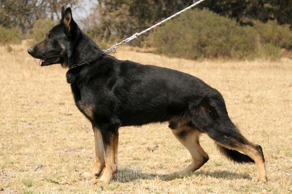 Faramir Casa Michger