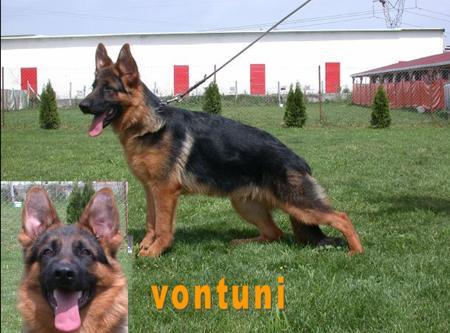 OdiN Von Tunİ