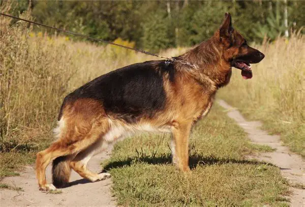 V Mack zur Medbacher Mühle