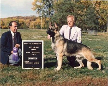 CH (US) Pa-Gair's Gambler