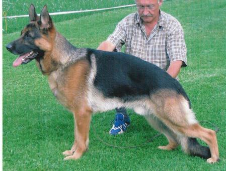 SG Dux von Buchnußberg