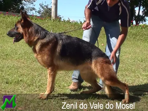 SG1 Zenil do Vale do Mosel